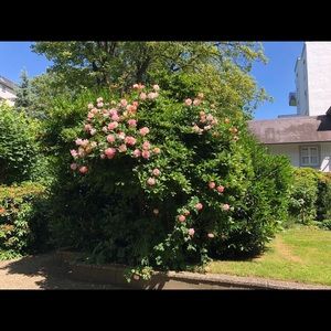 Meet your Posher, Yichuan